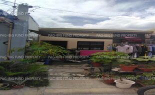 fil8820240706094