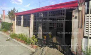 fil8820240725013