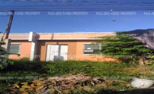 fil8820240725043