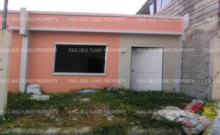 fil8820240904041