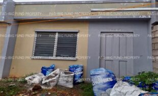fil8820240910005