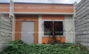 fil8820240910006