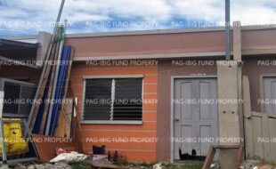 fil8820240910012