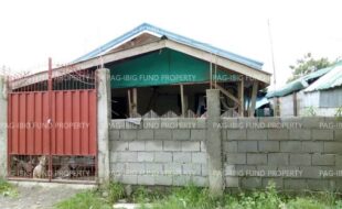 fil8820240926008
