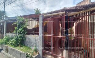 fil8820241118252