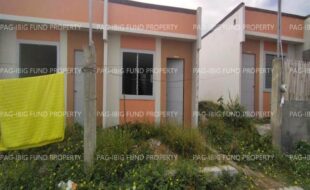 fil8820250103018