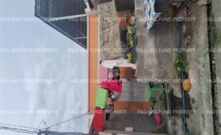 fil8820250113015