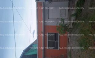 fil8820250113016
