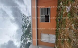 fil8820250113017