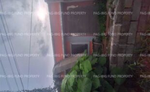 fil8820250113018