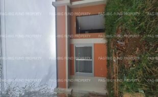 fil8820250113023