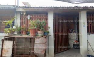 fil8820250203012