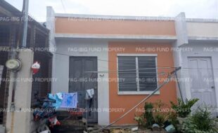 fil8820250203028