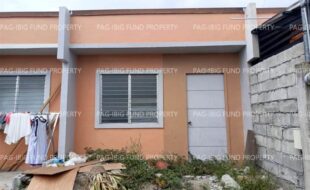 fil8820250203039