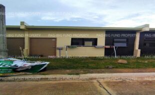 fil8820250305006
