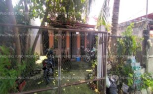 fil8820250327019