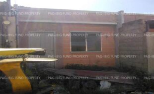 fil8820250520029