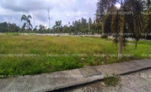 fil8820250521054