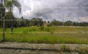 fil8820250521063