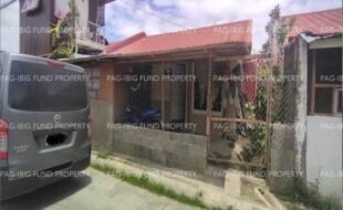 fil8820250710052