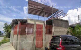 fil8820250710053