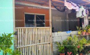 fil8820250812012