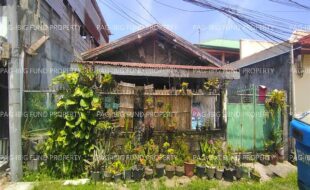 fil8820250812032