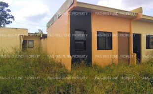 fil8820260512005