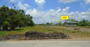 BDO Foreclosed RESIDENTIAL - VACANT LOT: Lot 2878-B, Brgy. Acocolao, Paniqui, Tarlac  For Sale