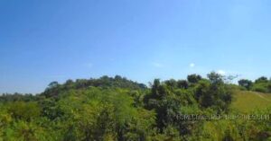 BDO Foreclosed FARM - VACANT LOT: Lot 5563, Brgy. Calipayan, Santa Ignacia, Tarlac (Interior)  For Sale