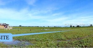 BDO Foreclosed FARM - VACANT LOT: Lot 911-A-1, Brgy. Caluluan / Sta. Monica, Concepcion, Tarlac  For Sale