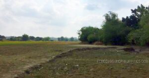 BDO Foreclosed FARM - VACANT LOT: Lot 5673-F-1-A & Lot 5673-F-1-I, Undeveloped Road, Brgy. Villa Aglipay, San Jose, Tarlac  For Sale