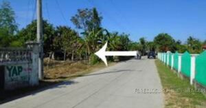 BDO Foreclosed FARM - VACANT LOT: Lot 180-A, Psd-03-131949, Unnamed Barangay Road, Brgy. San Jacinto, Victoria, Tarlac  For Sale