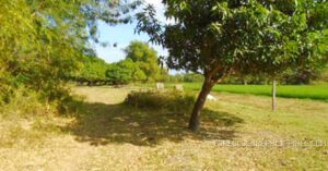 BDO Foreclosed FARM - VACANT LOT: Lot 855-B, Brgy. Nilasin / Balbaloto, Victoria, Tarlac (Interior)  For Sale