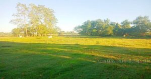 BDO Foreclosed FARM - VACANT LOT: Lot 5512-B, Brgy. Tangcaran, Gerona, Tarlac (Interior)  For Sale