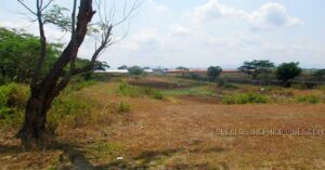 BDO Foreclosed FARM - VACANT LOT: Lot 3988-B-1 and 3988-B-2, Sitio Cardenas, Brgy. Capalangan, Gapan City, Nueva Ecija  For Sale