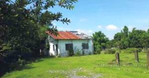 BDO Foreclosed COMMERCIAL - VACANT LOT: Lot 10780-P, (Padilla Poultry Farm), Brgy. Road, Brgys. Asin & Lunec, Malasiqui, Pangasinan (Commercial / Agricultural) (with Dilapidated Structure)  For Sale