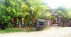 BDO Foreclosed RESIDENTIAL - HOUSE AND LOT: Lot 10161-C and 10161-D, Brgy. Macanaya, Aparri, Cagayan  For Sale