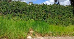 BDO Foreclosed RESIDENTIAL - VACANT LOT: Lot 3 Block 2, Crosswinds Tagaytay Subdivision, Tagaytay City, Cavite  For Sale