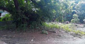 BDO Foreclosed RESIDENTIAL - VACANT LOT: Lot 1132-O, Zambrano St., Zone IV, Poblacion, Rosales, Pangasinan  For Sale