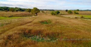 BDO Foreclosed RESIDENTIAL - VACANT LOT: Lot B-5-A, Sitio Sta. Cruz, Bo., Iba, San Jose, Tarlac (residential/agri lot)  interior  For Sale