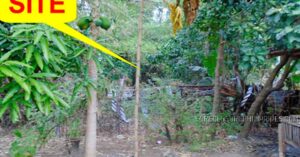 BDO Foreclosed RESIDENTIAL - VACANT LOT: Lot 10-B-6 San Vicente, Sta. Ignacia, Tarlac (Interior)  For Sale