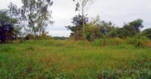 BDO Foreclosed RESIDENTIAL - VACANT LOT: Lot 1 (Pcs-04-013807), Unnamed Road, Brgy. Dela Paz, Biñan, Laguna  For Sale