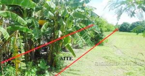 BDO Foreclosed RESIDENTIAL - VACANT LOT: Lot 3503-I, SW side of Nambalan - Sembrano Road, Brgy. Sembrano, Gerona, Tarlac  For Sale