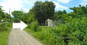 BDO Foreclosed RESIDENTIAL - VACANT LOT: Lot 1983-D, Existing Road, Brgy. Cawayan Bugtong, Guimba, Nueva Ecija  For Sale