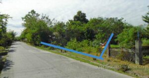 BDO Foreclosed RESIDENTIAL - VACANT LOT: Lot 2402-D-4-E, Barangay Road, Brgy. Mayang, La Paz, Tarlac  For Sale