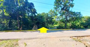 BDO Foreclosed RESIDENTIAL - VACANT LOT: Lot 30967-C, Psd-01-034156, Brgy. Anolid, Malasiqui, Pangasinan  For Sale