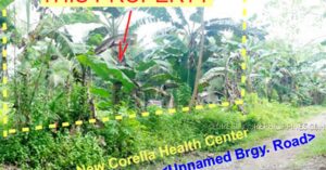 BDO Foreclosed RESIDENTIAL - VACANT LOT: Lot No. 1883, Purok 5, Brgy. Poblacion, New Corella / Saug, Davao del Norte  For Sale