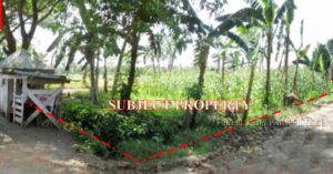 BDO Foreclosed RESIDENTIAL - VACANT LOT: Lot No. 2205, Purok V, Brgy. Poblacion, Saug / New Corella, Davao del Norte  For Sale