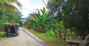 BDO Foreclosed RESIDENTIAL - VACANT LOT: Lot No. 2221, Purok 5, Brgy. Poblacion, New Corella / Saug, Davao del Norte  For Sale
